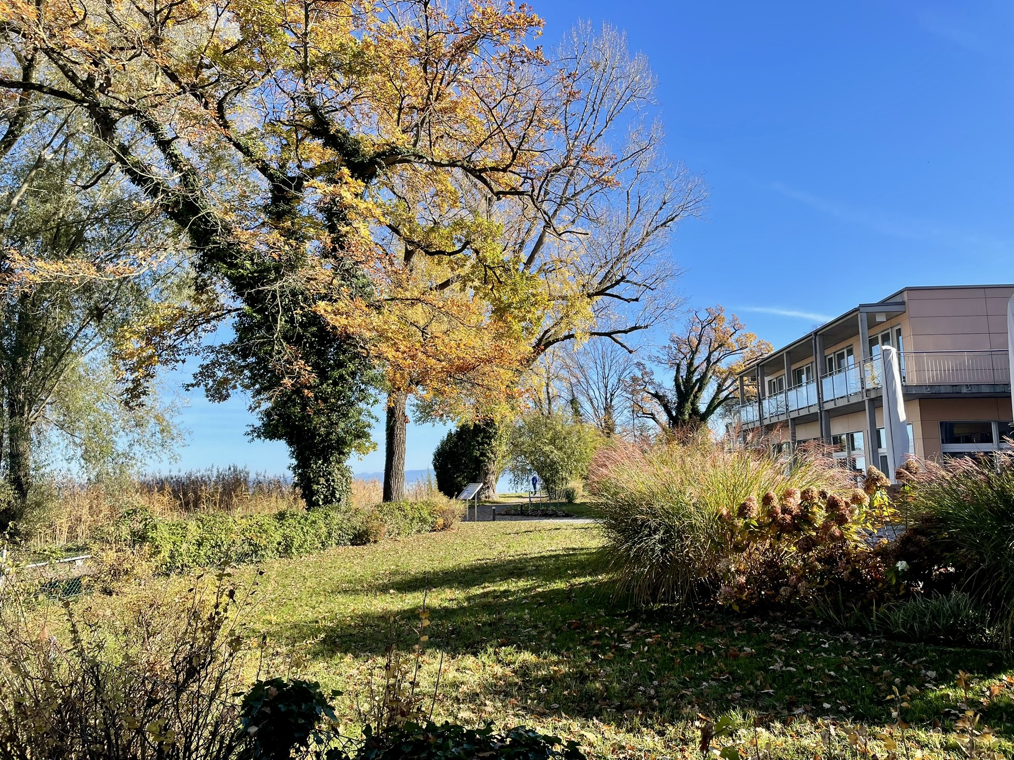 C0907 DCB 902 F 4 FF2 9 C4 D 567 F3 AA71632 1 102 a