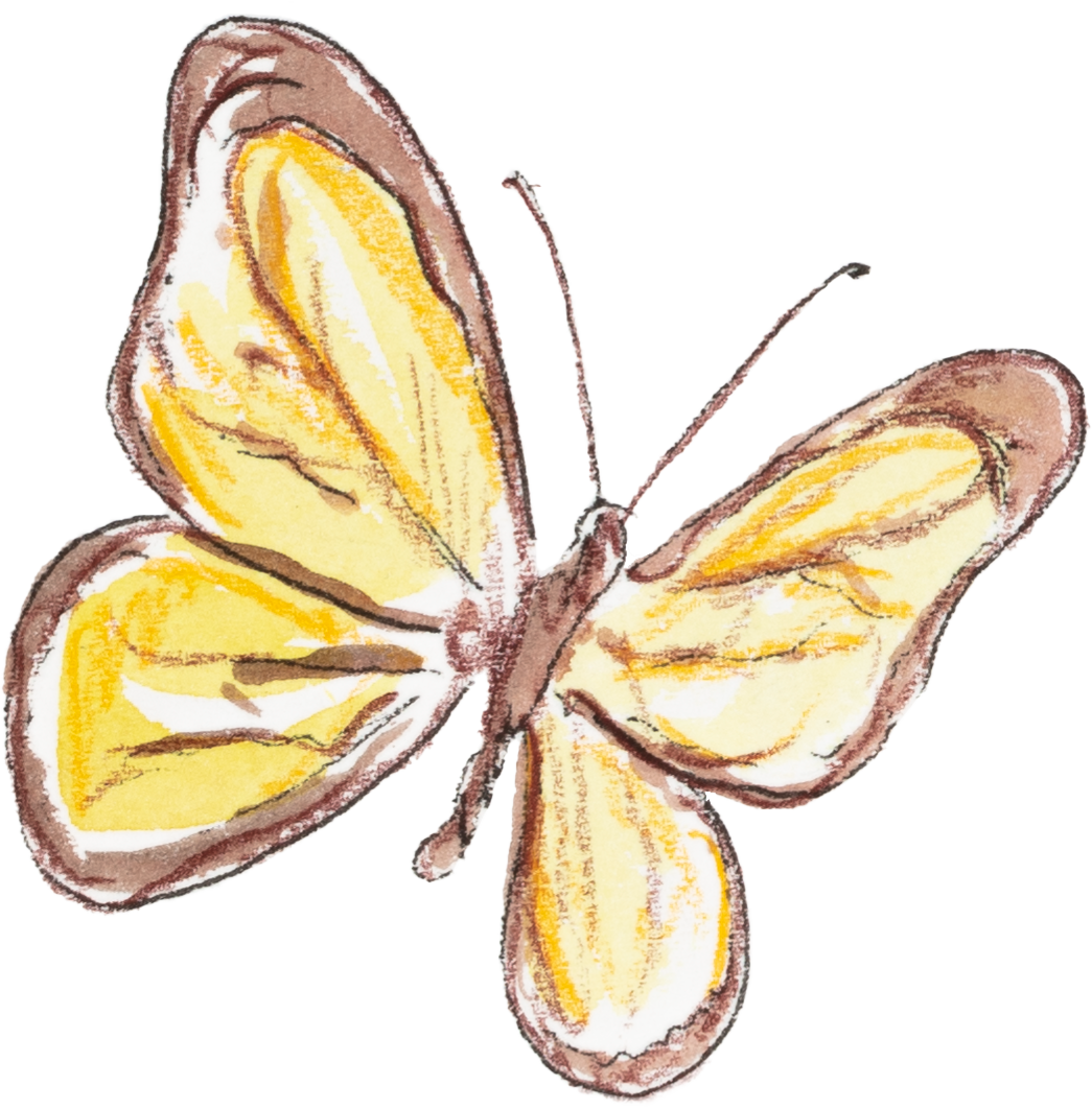 Schmetterling